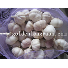 4.5cm Normal White Garlic Packed with 10kg Mesh Bag